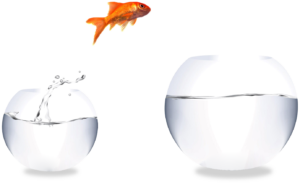 App Development for Small Business