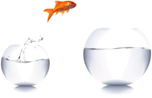 App Development for Small Business