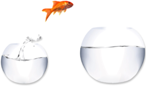 App Development for Small Business